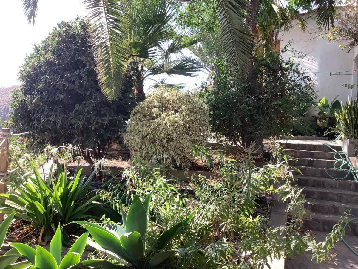 Cortijo De La Fuente Apartment Albunol ภายนอก รูปภาพ