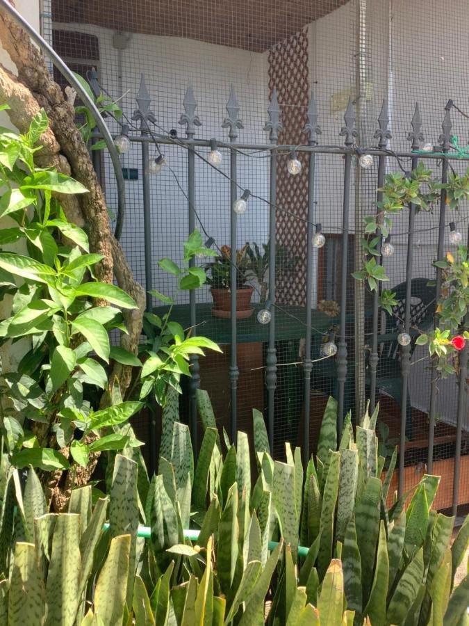 Cortijo De La Fuente Apartment Albunol ภายนอก รูปภาพ